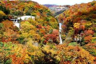 日光の紅葉はいろは坂から楽しみましょう。