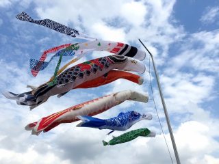 こいのぼりを出すのはいつ頃がいいのか?しまうのはいつがいいのか?