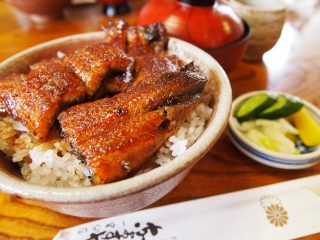 うなぎの旬は冬なのに夏の土用の丑の日にうなぎを食べる訳は?