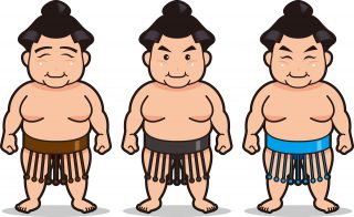 相撲の廻しのさがりについて解説!すぐ取れるのはある意味があった!